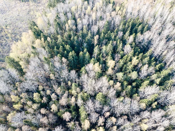 Imagem de drone. vista aérea da área rural com árvores florestais e sha — Fotografia de Stock