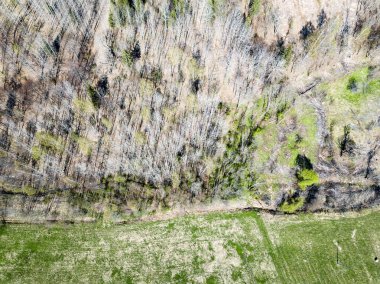 Drone görüntü. hava alanları ve ormanları ile kırsal alan görünümünü ben