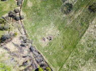 Drone görüntü. hava alanları ve ormanları ile kırsal alan görünümünü ben
