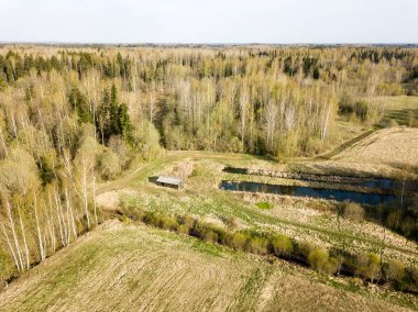 Drone görüntü. hava alanları ve ormanları ile kırsal alan görünümünü ben