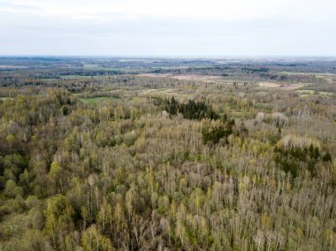 Drone görüntü. hava alanları ve ormanları ile kırsal alan görünümünü ben