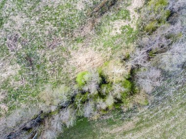 Drone görüntü. hava alanları ve ormanları ile kırsal alan görünümünü ben