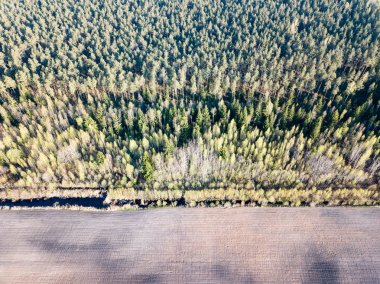 Drone görüntü. alanları ve ormanları ile kırsal bölgenin havadan görünümü
