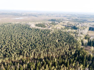 Drone görüntü. alanları ve ormanları ile kırsal bölgenin havadan görünümü