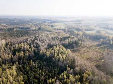 Drone görüntü. alanları ve ormanları ile kırsal bölgenin havadan görünümü
