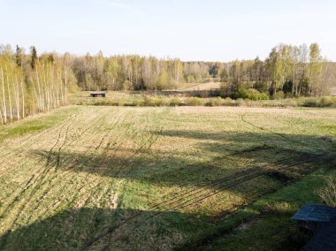 Drone görüntü. hava alanları ve ormanları ile kırsal alan görünümünü ben