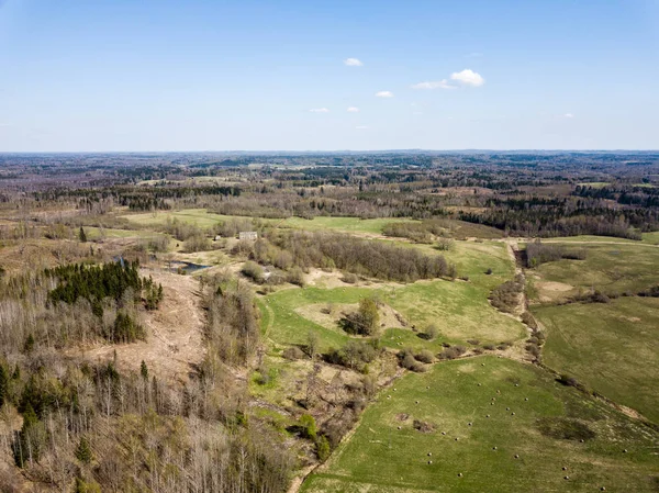 Drohnenbild. Luftaufnahme des ländlichen Raums mit Feldern und Wäldern i — Stockfoto