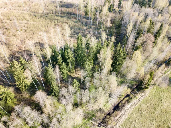Imagem de drone. Vista aérea da zona rural com campos e florestas — Fotografia de Stock
