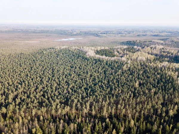 Drone kép. a légi felvétel a vidék, a mezők és erdők — Stock Fotó