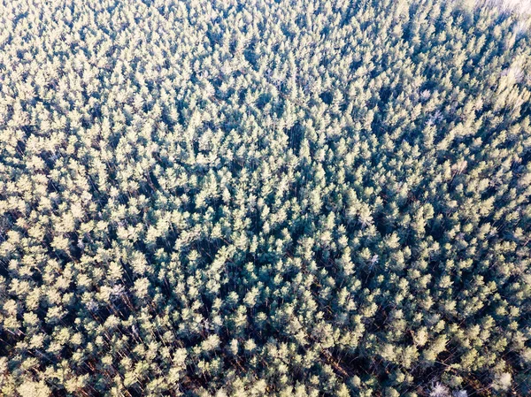 Drone obrazu. Widok z lotu ptaka z obszarów wiejskich z lasu drzew i sha — Zdjęcie stockowe