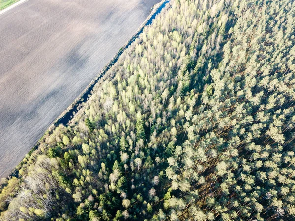 드 론 이미지입니다. 농촌 지역 필드와 숲의 항공 보기 — 스톡 사진