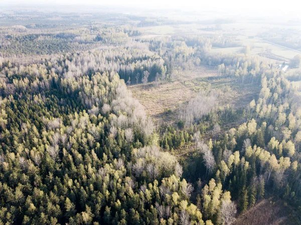 Drone kép. a légi felvétel a vidék, a mezők és erdők — Stock Fotó