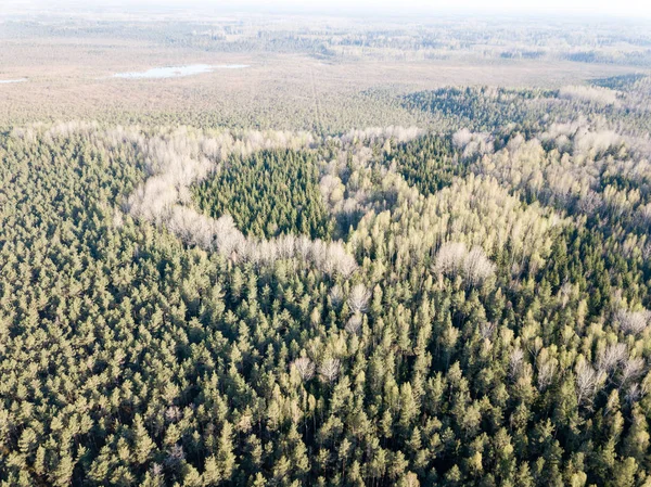 drone image. aerial view of rural area with fields and forests