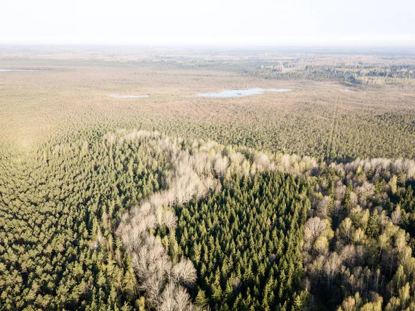 Drone kép. a légi felvétel a vidék, a mezők és erdők — Stock Fotó