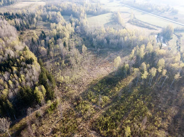 Drone image. aerial view of rural area with fields and forests — Stock Photo, Image