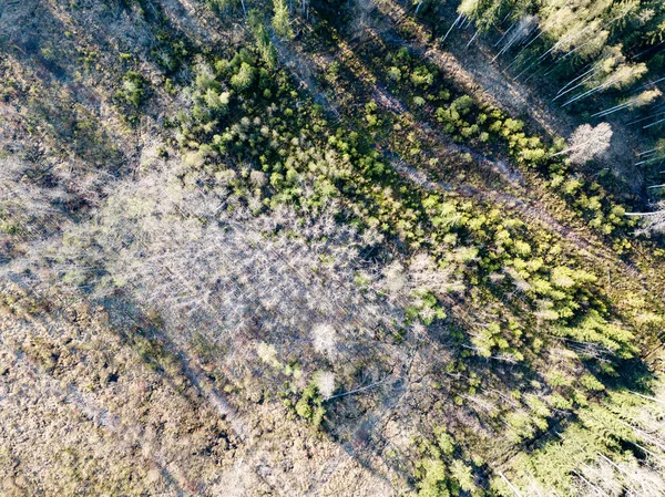 Imagem de drone. vista aérea da zona rural com campos e florestas i — Fotografia de Stock