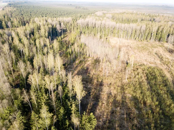 Drone kép. a légi felvétel a vidék, a mezők és erdők — Stock Fotó