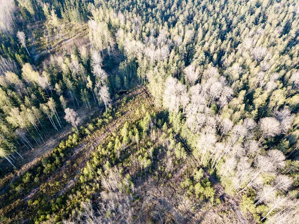 Imagem de drone. Vista aérea da zona rural com campos e florestas — Fotografia de Stock