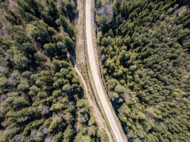 Drone görüntü. hava alanları ve ormanları ile kırsal alan görünümünü bir