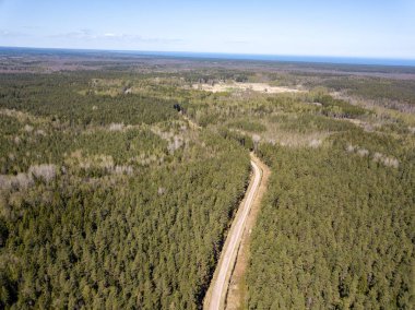 Drone görüntü. hava alanları ve ormanları ile kırsal alan görünümünü bir