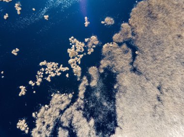 Drone görüntü. hava alanları ve ormanları ile kırsal alan görünümünü bir