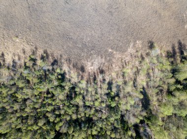 Drone görüntü. alanları ve ormanları ile kırsal bölgenin havadan görünümü