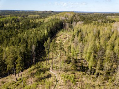 Drone görüntü. alanları ve ormanları ile kırsal bölgenin havadan görünümü