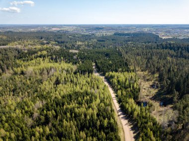 Drone görüntü. hava alanları ve ormanları ile kırsal alan görünümünü bir