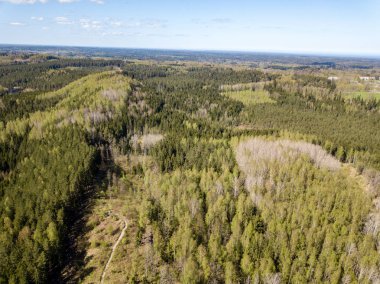 Drone görüntü. alanları ve ormanları ile kırsal bölgenin havadan görünümü