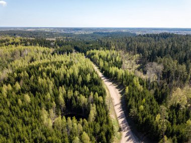 Drone görüntü. hava alanları ve ormanları ile kırsal alan görünümünü bir