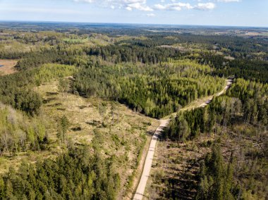 Drone görüntü. hava alanları ve ormanları ile kırsal alan görünümünü bir