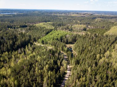 Drone görüntü. alanları ve ormanları ile kırsal bölgenin havadan görünümü