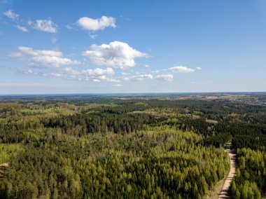 Drone görüntü. hava alanları ve ormanları ile kırsal alan görünümünü bir