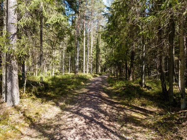 Afbeelding van de drone. Luchtfoto van landelijk gebied met velden en bossen — Stockfoto