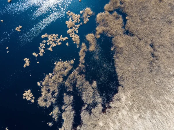 Imagem de drone. vista aérea da zona rural com campos e florestas a — Fotografia de Stock