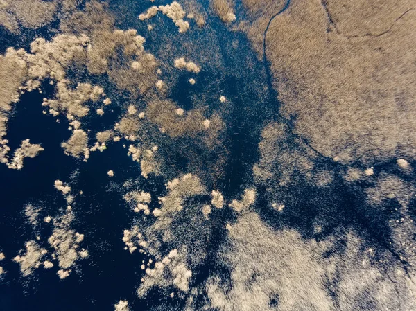 Imagem de drone. vista aérea da zona rural com campos e florestas a — Fotografia de Stock