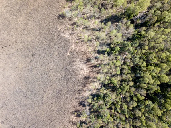 Drone obrazu. Widok z lotu ptaka z obszarów wiejskich z pól i lasów — Zdjęcie stockowe