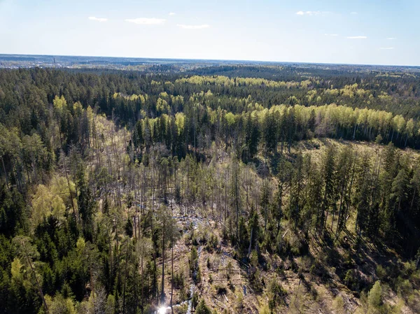 DRONY obrázek. Letecký pohled na venkovské oblasti s poli a lesy — Stock fotografie