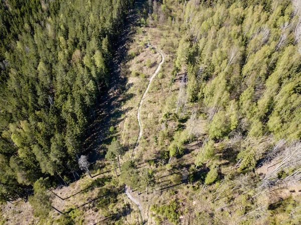 drone image. aerial view of rural area with fields and forests