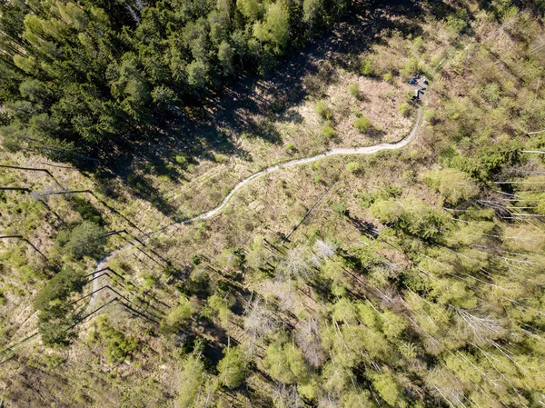 Зображення безпілотника. повітряний вид на сільську місцевість з полями та лісами — стокове фото