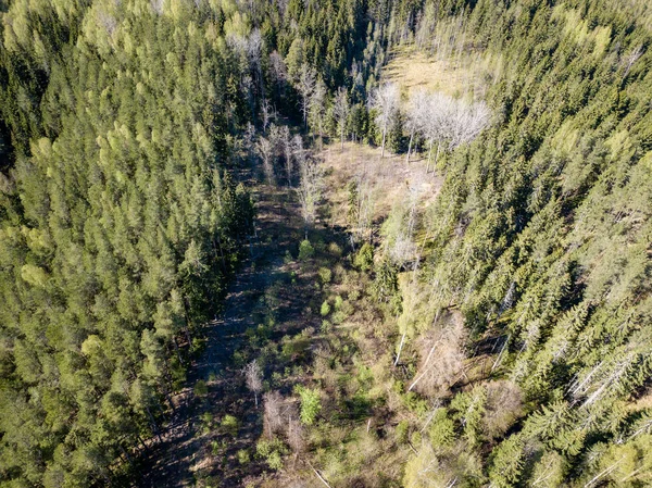 Imagem de drone. Vista aérea da zona rural com campos e florestas — Fotografia de Stock