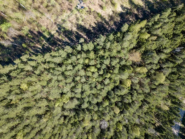 Drone bild. Flygfoto över landsbygden med fält och skogar — Stockfoto