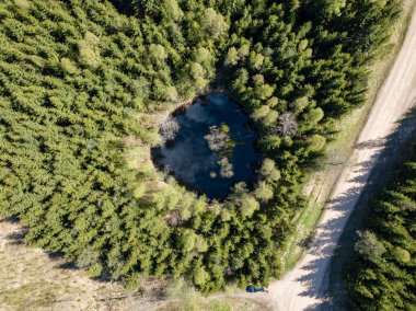 Drone görüntü. hava alanları ve ormanları ile kırsal alan görünümünü bir