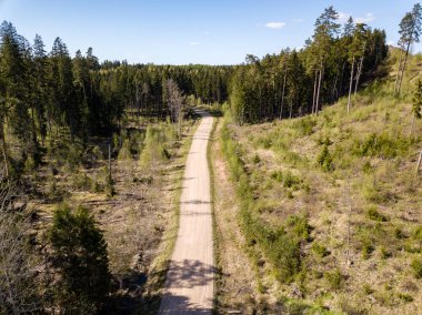 Drone görüntü. hava alanları ve ormanları ile kırsal alan görünümünü bir