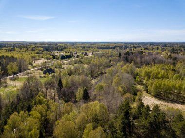 Drone görüntü. alanları ve ormanları ile kırsal bölgenin havadan görünümü