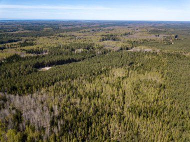 Drone görüntü. alanları ve ormanları ile kırsal bölgenin havadan görünümü