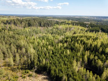 Drone görüntü. alanları ve ormanları ile kırsal bölgenin havadan görünümü