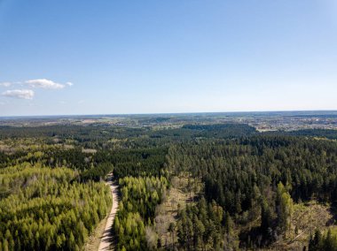 Drone görüntü. hava alanları ve ormanları ile kırsal alan görünümünü bir