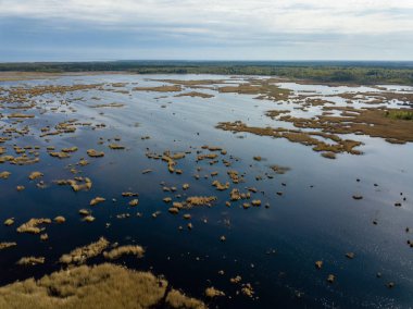 Drone görüntü. hava alanları ve ormanları ile kırsal alan görünümünü bir