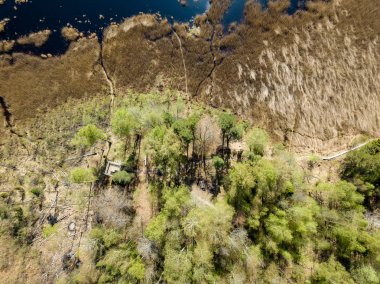 Drone görüntü. alanları ve ormanları ile kırsal bölgenin havadan görünümü